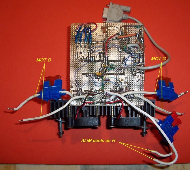 Carte PIC envers.JPG